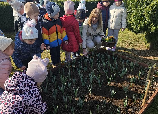 Grafika 1: 24.03.2025 Wiosenne prace w naszym ogrodzie