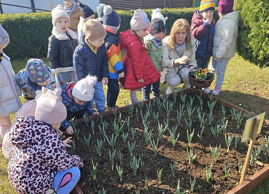 Grafika 2: 24.03.2025 Wiosenne prace w naszym ogrodzie