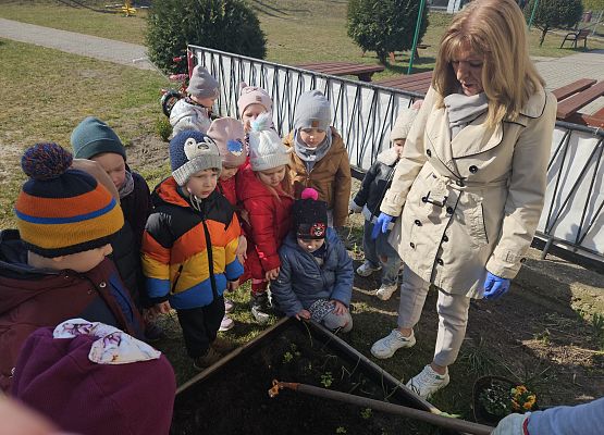 Grafika 4: 24.03.2025 Wiosenne prace w naszym ogrodzie