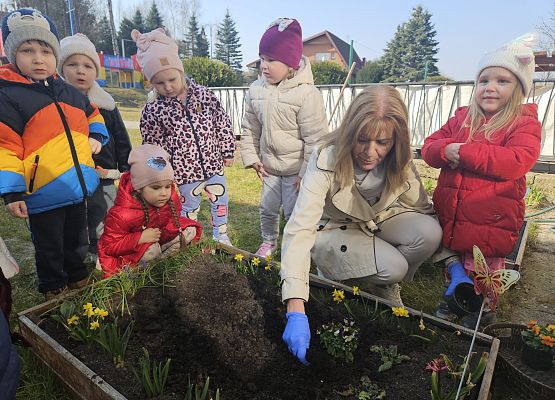 Grafika 7: 24.03.2025 Wiosenne prace w naszym ogrodzie