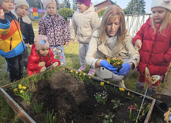 Grafika 9: 24.03.2025 Wiosenne prace w naszym ogrodzie