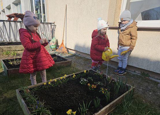 Grafika 16: 24.03.2025 Wiosenne prace w naszym ogrodzie