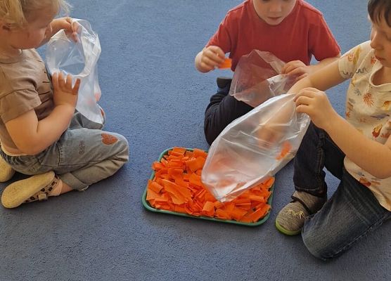 Grafika 43: 04.04.2025 Dzień marchewki