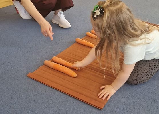 Grafika 46: 04.04.2025 Dzień marchewki