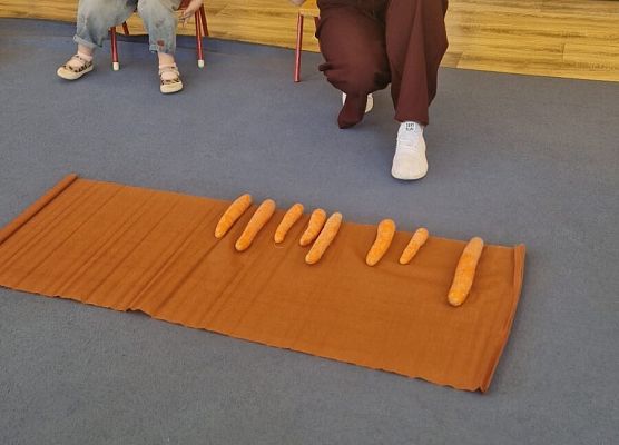 Grafika 48: 04.04.2025 Dzień marchewki