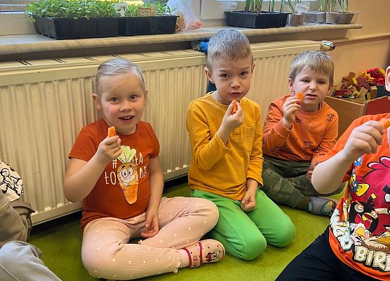 Grafika 55: 04.04.2025 Dzień marchewki