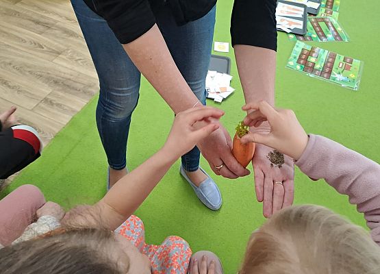 Grafika 104: 04.04.2025 Dzień marchewki