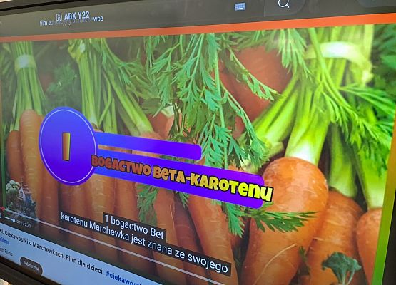 Grafika 111: 04.04.2025 Dzień marchewki