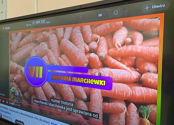 Grafika 112: 04.04.2025 Dzień marchewki