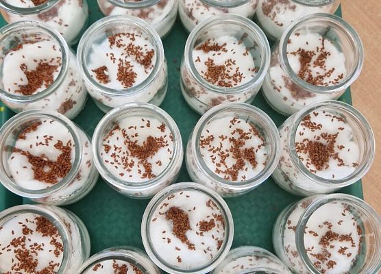 Grafika 3: 07.04.2025 Wielkanocne warsztaty kreatywne w gr I