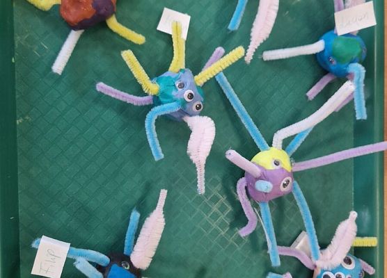 Grafika 15: Światowy Dzień Pracowników Służby Zdrowia w Grupie I