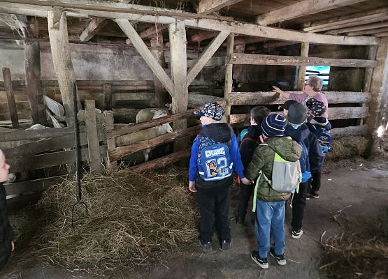 Grafika 53: 15.04.2025 Wycieczka do Gospodarstwa Rolnego Państwa Augustyn