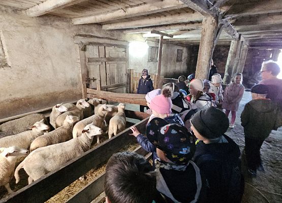 Grafika 57: 15.04.2025 Wycieczka do Gospodarstwa Rolnego Państwa Augustyn