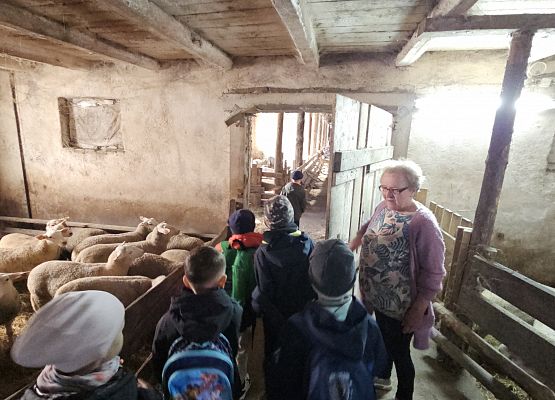 Grafika 58: 15.04.2025 Wycieczka do Gospodarstwa Rolnego Państwa Augustyn