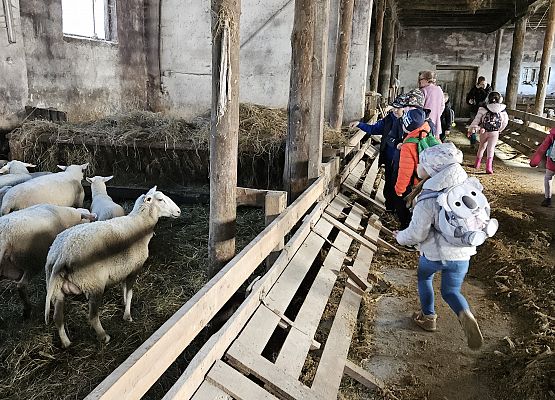 Grafika 65: 15.04.2025 Wycieczka do Gospodarstwa Rolnego Państwa Augustyn