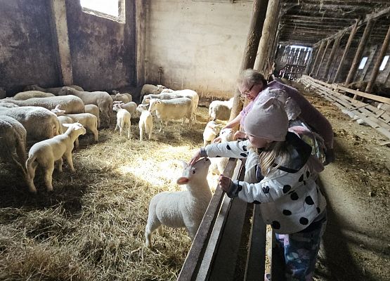 Grafika 68: 15.04.2025 Wycieczka do Gospodarstwa Rolnego Państwa Augustyn