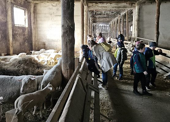Grafika 70: 15.04.2025 Wycieczka do Gospodarstwa Rolnego Państwa Augustyn