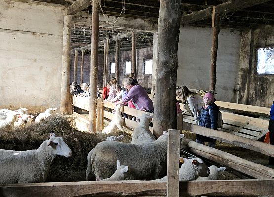 Grafika 71: 15.04.2025 Wycieczka do Gospodarstwa Rolnego Państwa Augustyn