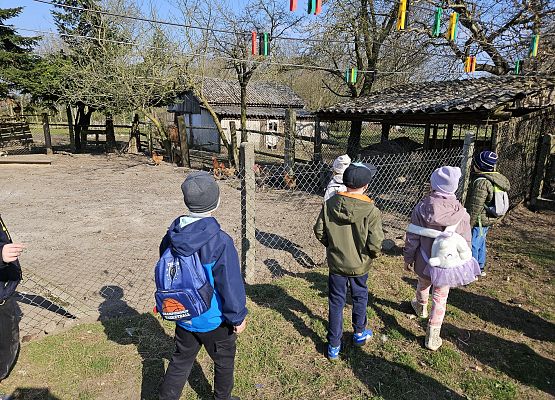 Grafika 75: 15.04.2025 Wycieczka do Gospodarstwa Rolnego Państwa Augustyn