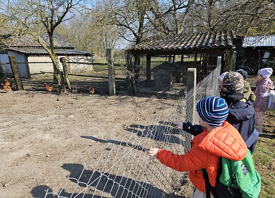 Grafika 76: 15.04.2025 Wycieczka do Gospodarstwa Rolnego Państwa Augustyn