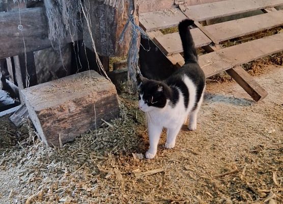 Grafika 155: 15.04.2025 Wycieczka do Gospodarstwa Rolnego Państwa Augustyn