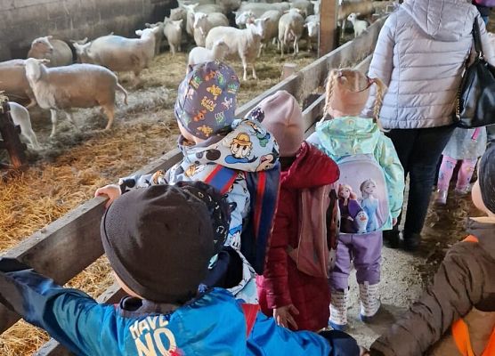 Grafika 159: 15.04.2025 Wycieczka do Gospodarstwa Rolnego Państwa Augustyn