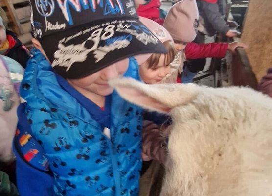 Grafika 162: 15.04.2025 Wycieczka do Gospodarstwa Rolnego Państwa Augustyn