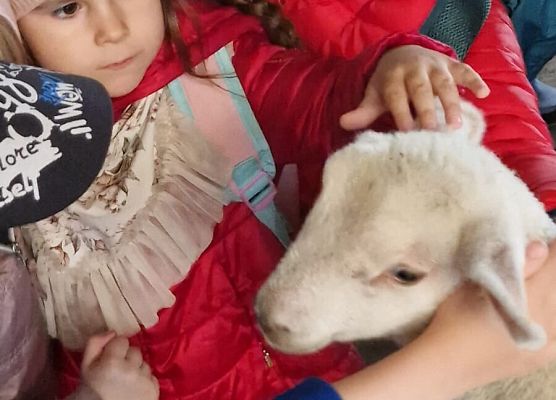 Grafika 164: 15.04.2025 Wycieczka do Gospodarstwa Rolnego Państwa Augustyn