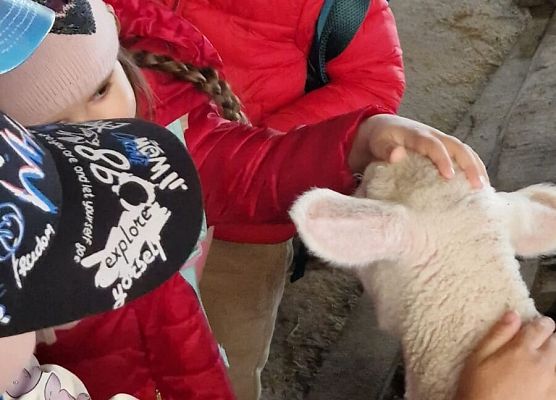 Grafika 165: 15.04.2025 Wycieczka do Gospodarstwa Rolnego Państwa Augustyn