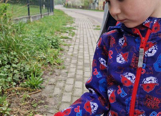 Grafika 6: 22.04.2025 Światowy Dzień Ziemi