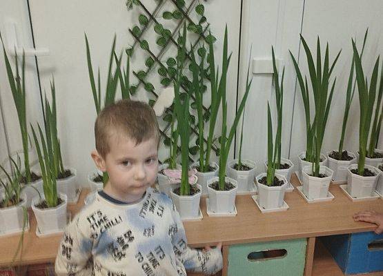 Grafika 37: 22.04.2025 Światowy Dzień Ziemi