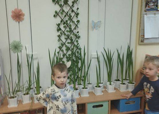 Grafika 38: 22.04.2025 Światowy Dzień Ziemi