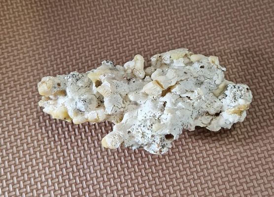 Grafika 19: 09.05.2025 Wizyta w Bibliotece Publicznej Gminy Wicko