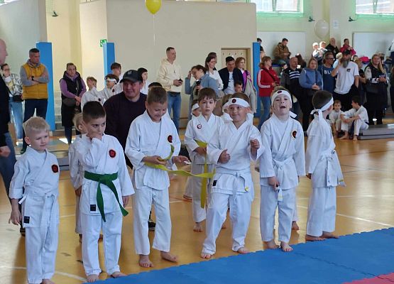 Grafika 2: Sukcesy naszych przedszkolaków w IX ogólnopolskich zawodach karate.