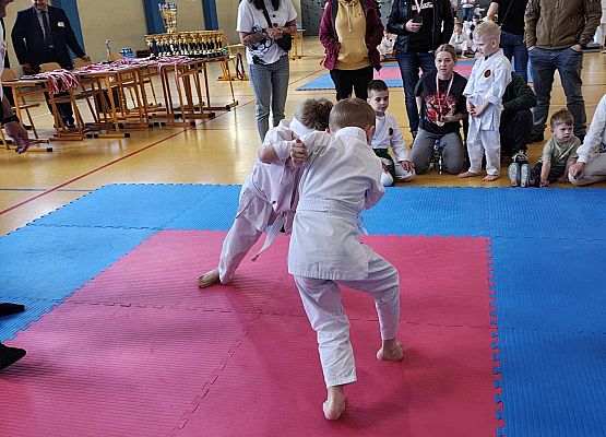 Grafika 12: Sukcesy naszych przedszkolaków w IX ogólnopolskich zawodach karate.