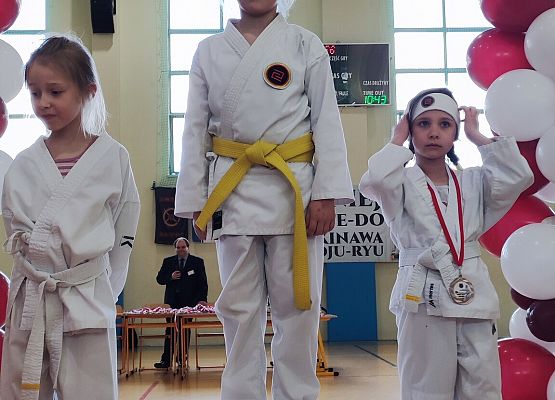 Grafika 15: Sukcesy naszych przedszkolaków w IX ogólnopolskich zawodach karate.