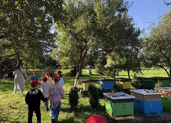 Grafika 3: 12.09.2025 Wizyta w pasiece P. Elżbiety Łukawskiej w Wicku – słodka przygoda naszych przedszkolaków!