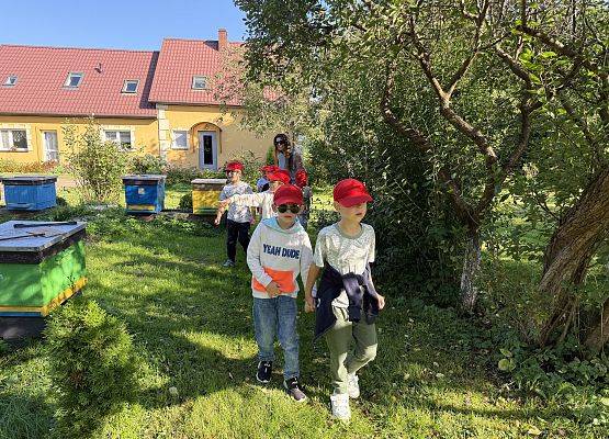 Grafika 5: 12.09.2025 Wizyta w pasiece P. Elżbiety Łukawskiej w Wicku – słodka przygoda naszych przedszkolaków!