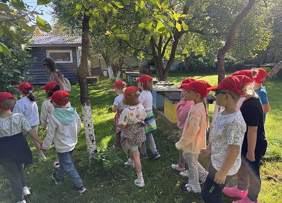 Grafika 10: 12.09.2025 Wizyta w pasiece P. Elżbiety Łukawskiej w Wicku – słodka przygoda naszych przedszkolaków!