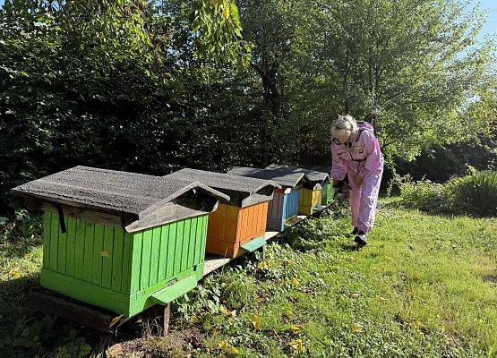 Grafika 12: 12.09.2025 Wizyta w pasiece P. Elżbiety Łukawskiej w Wicku – słodka przygoda naszych przedszkolaków!