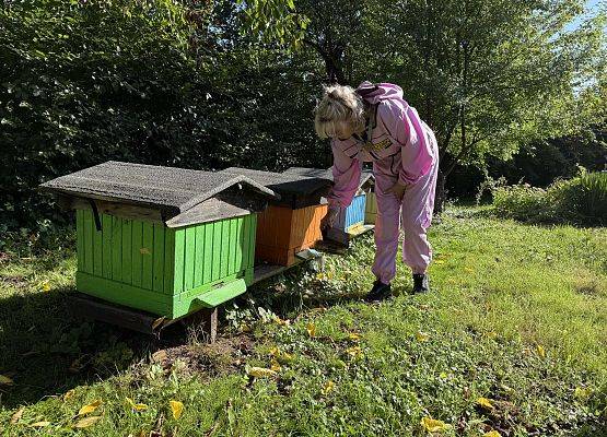 Grafika 13: 12.09.2025 Wizyta w pasiece P. Elżbiety Łukawskiej w Wicku – słodka przygoda naszych przedszkolaków!