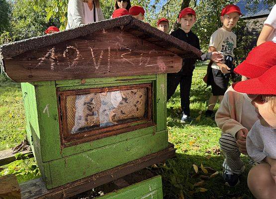 Grafika 15: 12.09.2025 Wizyta w pasiece P. Elżbiety Łukawskiej w Wicku – słodka przygoda naszych przedszkolaków!