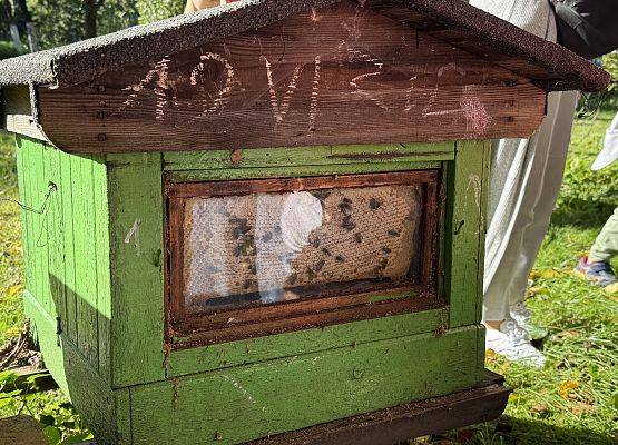 Grafika 16: 12.09.2025 Wizyta w pasiece P. Elżbiety Łukawskiej w Wicku – słodka przygoda naszych przedszkolaków!