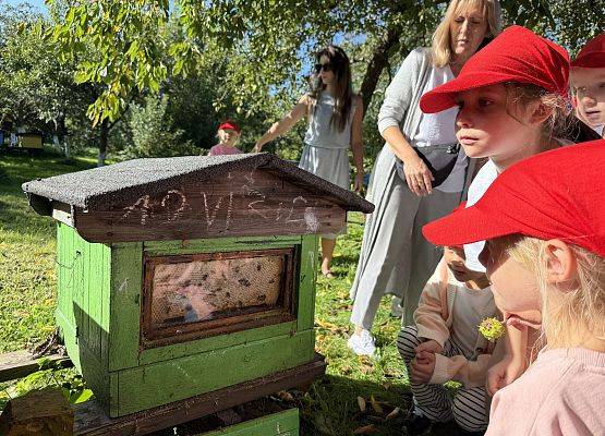 Grafika 17: 12.09.2025 Wizyta w pasiece P. Elżbiety Łukawskiej w Wicku – słodka przygoda naszych przedszkolaków!