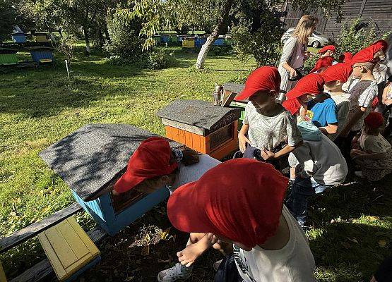 Grafika 19: 12.09.2025 Wizyta w pasiece P. Elżbiety Łukawskiej w Wicku – słodka przygoda naszych przedszkolaków!