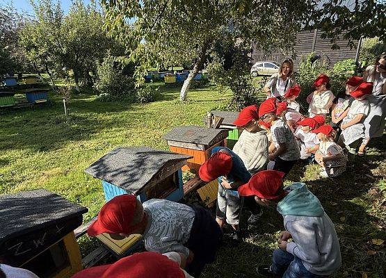 Grafika 20: 12.09.2025 Wizyta w pasiece P. Elżbiety Łukawskiej w Wicku – słodka przygoda naszych przedszkolaków!