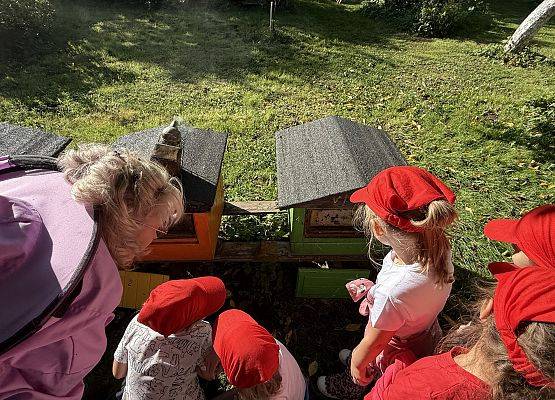 Grafika 21: 12.09.2025 Wizyta w pasiece P. Elżbiety Łukawskiej w Wicku – słodka przygoda naszych przedszkolaków!