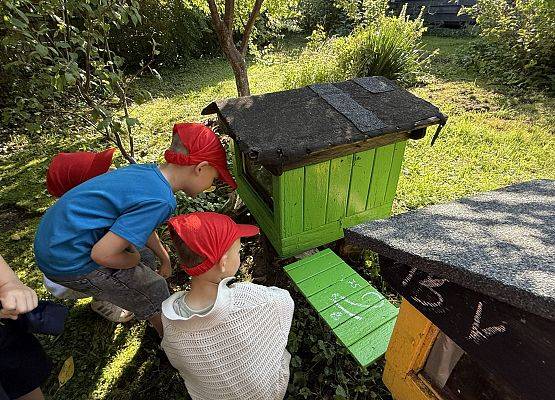 Grafika 22: 12.09.2025 Wizyta w pasiece P. Elżbiety Łukawskiej w Wicku – słodka przygoda naszych przedszkolaków!