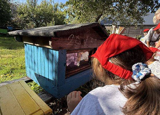 Grafika 23: 12.09.2025 Wizyta w pasiece P. Elżbiety Łukawskiej w Wicku – słodka przygoda naszych przedszkolaków!