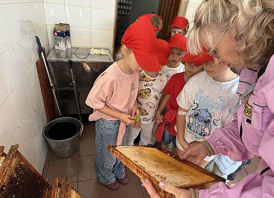 Grafika 31: 12.09.2025 Wizyta w pasiece P. Elżbiety Łukawskiej w Wicku – słodka przygoda naszych przedszkolaków!